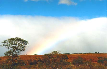 quotes about rainbow. Rainbow. Quote 2.